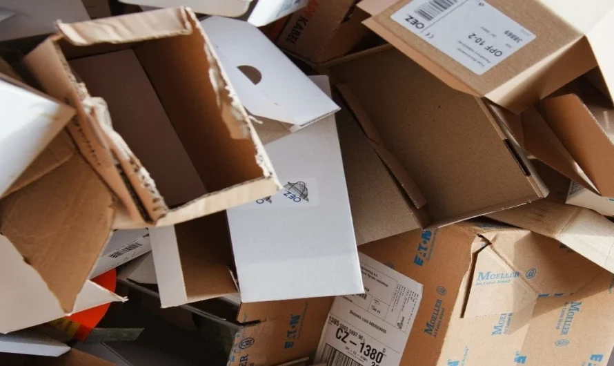 Carton de Déménagement Gratuit : Comment en Trouver et Réaliser des Économies