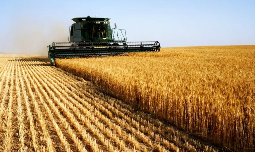 Solutions Naturelles pour l’Agriculture Face au Changement Climatique