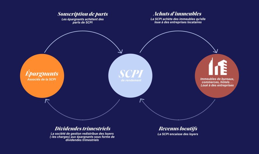 🏢 Classement SCPI 2025 : quelles sont les meilleures SCPI cette année ?