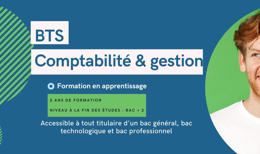 BTS Comptabilité et Gestion : le guide complet pour réussir dans la comptabilité, la finance et la gestion d’entreprise